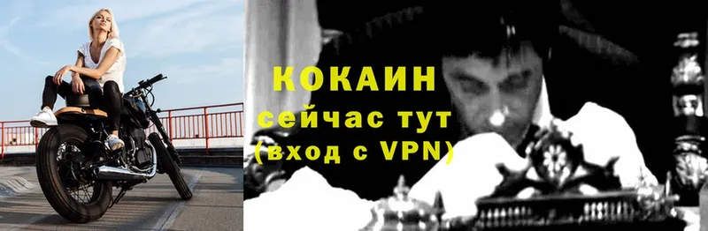 где купить   Мариинск  Cocaine Колумбийский 